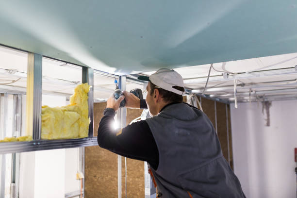 Best Insulation for Specific Applications in Nowthen, MN