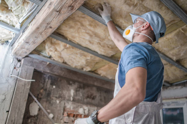Best Specialty Insulation in Nowthen, MN