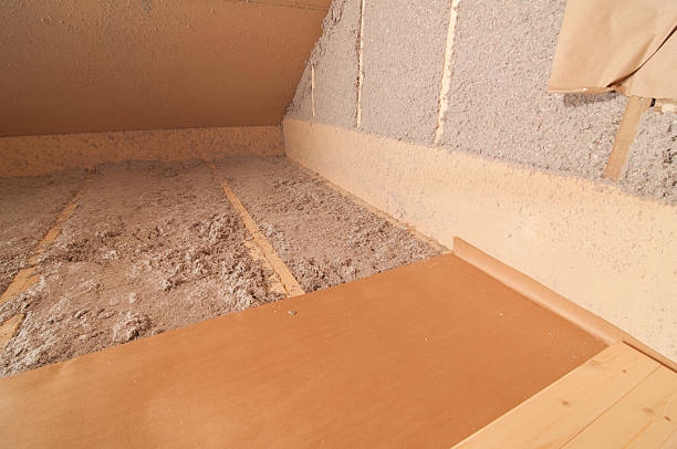 Best Insulation Installation Services in Nowthen, MN